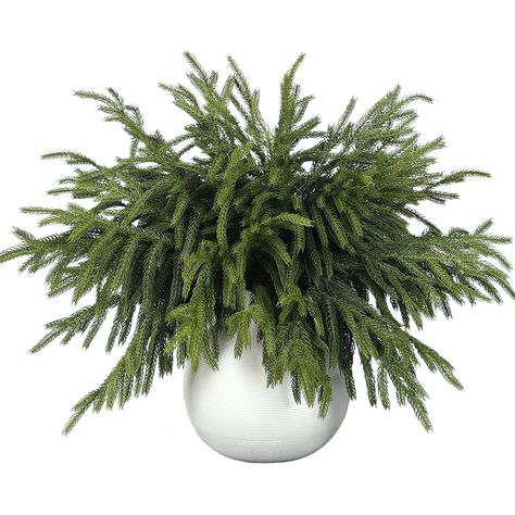 PRICES MAY VARY. 【Sufficient Quantity】: One pack of 16 Pcs real touch norfolk pine branches, to provide you with sufficient supply, as shown in the picture, 16 norfolk pine branches can fill the whole vase, fluffy and beautiful, can also make christmas wreath, garland. 【Real Touch Material 】: We use high-quality plastic material, cleverly produced to mimic the natural green appearance of the real norfolk pine and the real touch of the soft, lifelike and waterproof durable for indoor and outdoor Holiday Greenery Centerpiece, Pheasant Christmas Decor, Decorating Table For Christmas, Thanksgiving Minimalist Decor, Christmas Decor Modern Farmhouse, Neutral Christmas Wreaths, White Green And Gold Christmas Decor, French Farmhouse Christmas Decor, Walmart Christmas Decor 2024