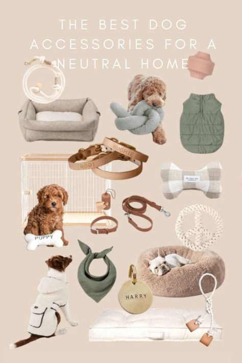 the best dog accessories for a neutral home Dog Toys For Small Dogs, Cute Dog Essentials, Dog Neccesities, New Puppy Essentials, Cute Dog Accessories Dog Supplies, Dog Essentials List, Dog Mom Essentials, Boho Dog Accessories, Dog Must Haves Products