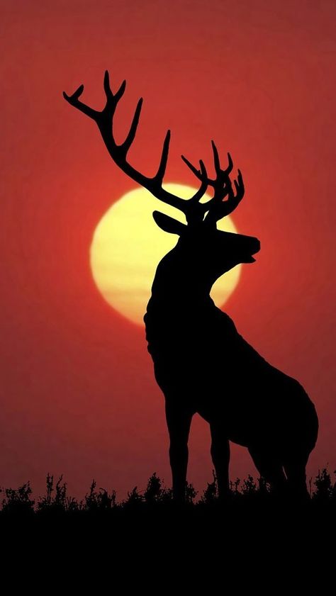 Distilling Alcohol, Deer Wallpaper, Deer Painting, Deer Silhouette, Silhouette Painting, Deer Art, Animal Silhouette, A Deer, Deer Head