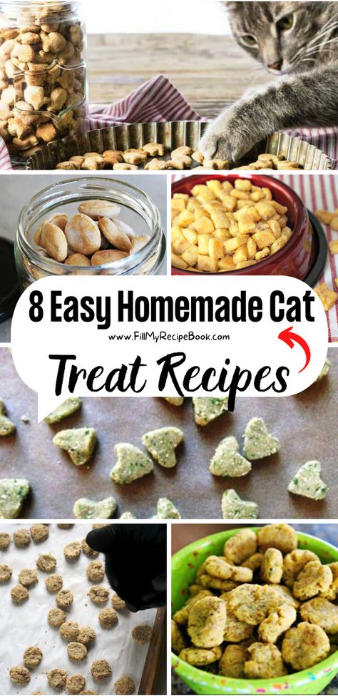 Various cat treat easy recipe ideas to make at home with healthy ingredients such as peanut butter or tuna and chicken. Grain free and no fish and catnip. Catnip Treats For Cats, Salmon Cat Treats Homemade, Cat Treat Recipes Easy, Healthy Homemade Cat Treats, Diy Kitten Treats, Chicken Cat Treats, Cat Treat Recipes Homemade, Healthy Cat Treat Recipes, Catnip Treats Recipe