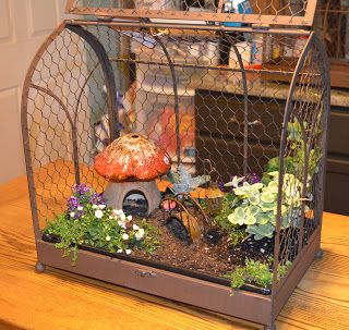 Indoor mini fairy garden in a bird cage house. Toadstool mushroom ... Miniature Bridge, Indoor Fairy Gardens, Toadstool Mushroom, Fairy Furniture, Mini Fairy Garden, Faeries Gardens, Fairy Garden Houses, Garden Terrarium, Diy Fairy