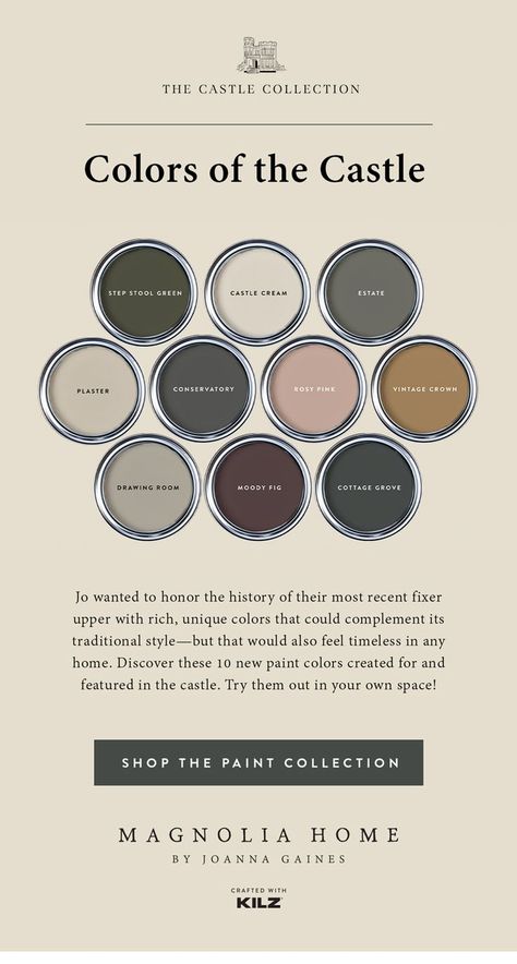 Whole House Moody Paint Scheme, Dark Cabinets Color Scheme, Dark Cottage Paint Colors, Antique Colors Palette, Moody Home Paint Palette, French Modern Color Palette, Moody Cozy Color Palette, Dark Academia Master Room, European Farmhouse Color Palette