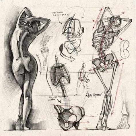 Rim Umyarov, Analytical Drawing, Interracial Art, Drawing Basics, Human Body Drawing, A Level Art Sketchbook, Gaming Anime, Human Anatomy Drawing, Body Sketches