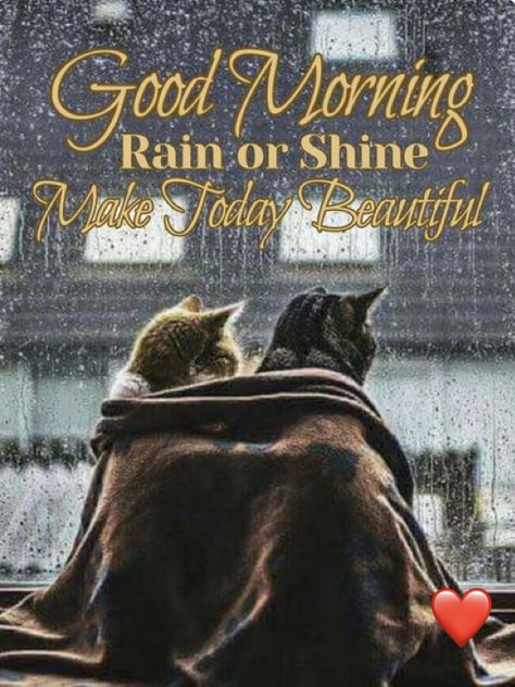 Rainy Sunday Quotes, Rainy Morning Quotes, Good Morning Rain, Rainy Good Morning, Good Morning Rainy Day, Rainy Day Quotes, Saturday Morning Quotes, Happy Monday Quotes, Sunday Morning Quotes