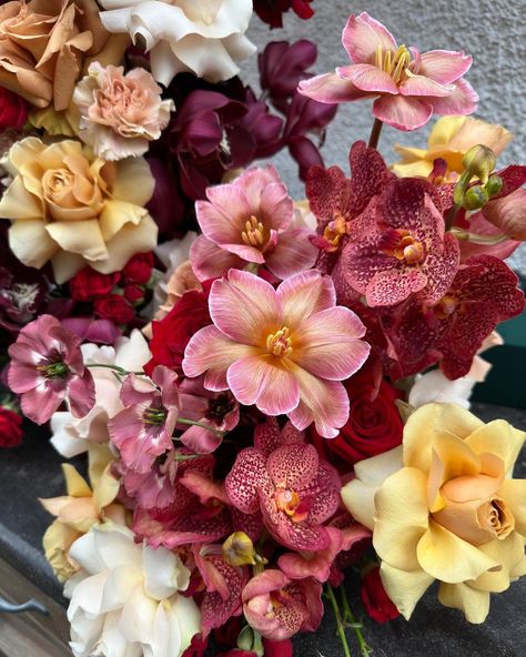 Elspeth Tull (@theblumestudio) • Instagram photos and videos Flower Combinations, Wildflower Wedding Theme, Photography Flowers, Nothing But Flowers, Tourism Industry, Flower Therapy, Beautiful Bouquet Of Flowers, Event Flowers, Pretty Plants