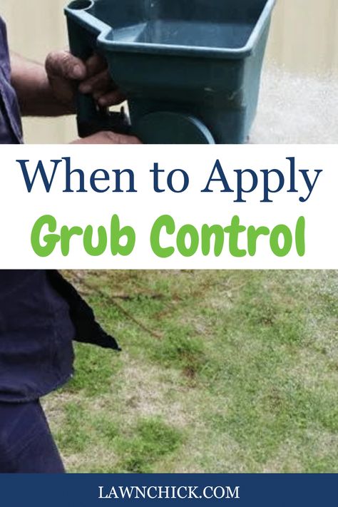 If you've seen signs that there is a grub infestation on your lawn, you should take action. These pests can cause a lot of damage. In this blog post, you'll find out when you should apply grub control. Plus, you'll discover other essential information, including the symptoms of a grub infestation, what you should do after you apply grub control pesticide, and more. If you want all the best tips and tricks for getting rid of grubs, this is the blog post for you. Grub Control In Lawns, Get Rid Of Grubs In Lawn, How To Get Rid Of Grubs In Lawn, Grubs How To Get Rid Of, Grubs In Lawn, Lawn Problems, Lawn Pests, Lawn Care Tips, Yard Project