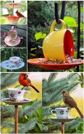 Repurposed Teacup Bird Feeder Teacup Bird Feeder Diy, Pictures Of Birds, Teacup Crafts, Homemade Bird Feeders, Tea Cup Bird Feeder, Sharpie Crafts, Diy Bird Feeder, Diy Birds, Cup Crafts