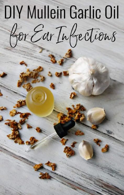 This DIY Mullein Garlic oil for Ear Infections is just what you need if you are looking for a natural remedy for an earache! Mullein is amazing at easing discomfort during ear infections and garlic helps fight the infection that caused the earache in the first place! No mullein? That's ok, just garlic oil works too! #earinfection #earache #mullein #garlic #garlicoil #homeremedy #herbalremedies #natural #safe #DIY Garlic Oil For Ears, Skincare Homemade, Cooking With Turmeric, Ear Ache, Natural Healing Remedies, Garlic Oil, Diy Remedies, Cold Home Remedies, Holistic Remedies