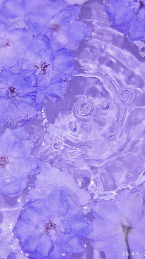 Lavender Homescreen Aesthetic, Paramochy Purple, Lavender Asthetics Photos, Lavender Asthetic Wallpers, Lavender Asethic, Aethstetic Purple, Lavender Ipad Wallpaper, Luvssoft Purple, Purple Crystals Aesthetic