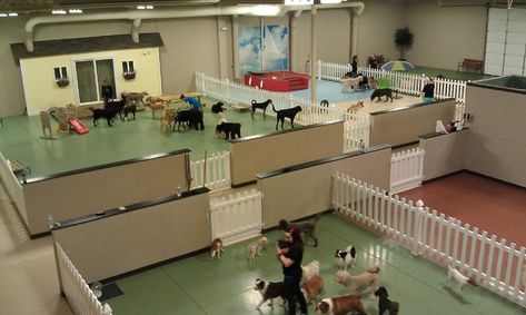 20 Things Dog Day Care Employees Won't Tell You Dog Daycare Design, Dog Boarding Ideas, Dog Daycare Business, Hotel Pet, Indoor Dog Park, Pet Daycare, Dog Boarding Facility, Dog Boarding Kennels, Daycare Business