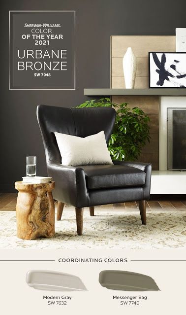 Bronze Living Room, 2021 Color Of The Year, Urbane Bronze, Sherwin Williams Colors, Sherwin Williams Paint Colors, Painted Walls, Interior Paint Colors, Paint Colors For Living Room, Paint Colors For Home