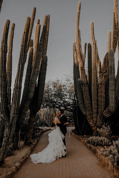 Elopement Destinations, Botanical Garden Wedding, Stone Photography, Arizona Sunset, Cactus Wedding, Arizona Wedding Venues, Desert Botanical Garden, Pnw Wedding, Botanical Gardens Wedding