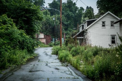 Apocalypse Town, Apocalypse Setting, Aesthetic Apocalypse, Abandoned Neighborhood, Neighborhood Street, Apocalypse Landscape, Environment References, Environment Reference, Abandoned City