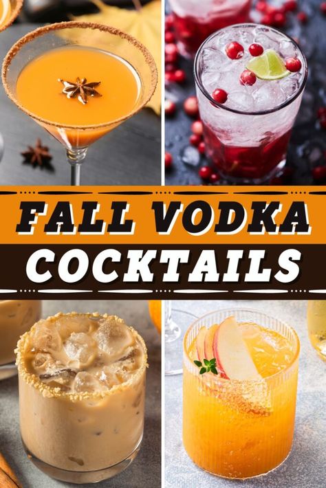 Fall Cocktails Vodka, Fall Martinis Recipes, Fall Vodka Cocktails, Fall Mixed Drinks, Cranberry Martini, Martini Recipes Vodka, Pitcher Cocktails, Moscow Mules, Fall Cocktails Recipes