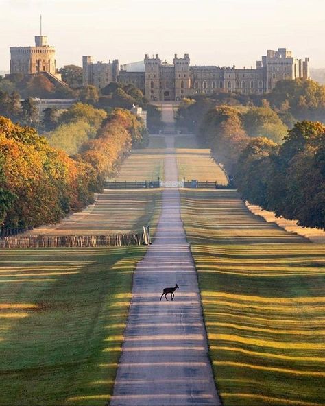 The Long Walk, British Castles, England Aesthetic, Old Castle, Castle Aesthetic, Long Walk, Dream Places, Windsor Castle, A Castle