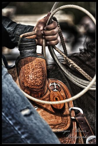 Roping Pictures, Roping Photography, Rodeo Roping, Saddle Photography, Rodeo Photography, Arte Cowboy, Roping Horse, Strong Hands, Team Roper