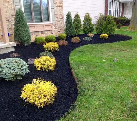 40 Best Landscaping Ideas Around Your House | Decor Home Ideas Garden Landscaping Design Ideas, Inexpensive Landscaping, Land Scaping, Front Landscape, Small Front Yard Landscaping, Small Front Yard, Entrance Ideas, Pools Backyard, Yard Landscape