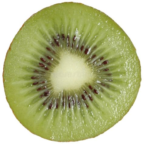 Food Gcse Art, Fruit References, Image Kiwi, Kiwi Slice, Diy Graphic Tee, Sliced Fruit, Frame Wallpaper, Food Project, 2024 Art