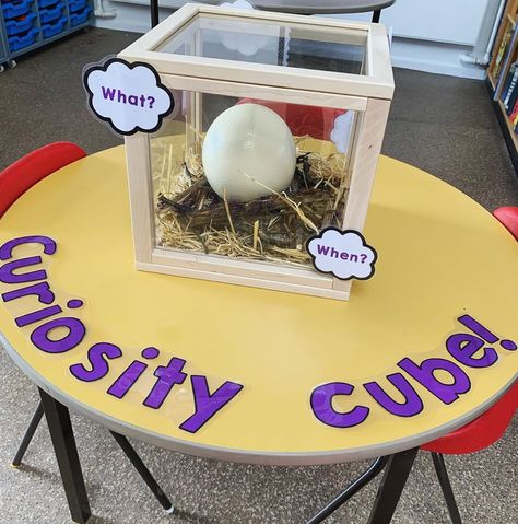 Katrina on Instagram: “The curiosity cube is all set up ready for some inquisitive lil’ beans to see next week! Our theme is Dinosaurs so why not plant a giant…” Year 1 Plants Activities, Curiosity Box Ideas Eyfs, Curiosity Cube Ks1, Curiosity Cube Eyfs Ideas, Eyfs Dinosaurs, Curiosity Approach Eyfs, Investigation Area, Preschool Classroom Setup, Dinosaur Classroom