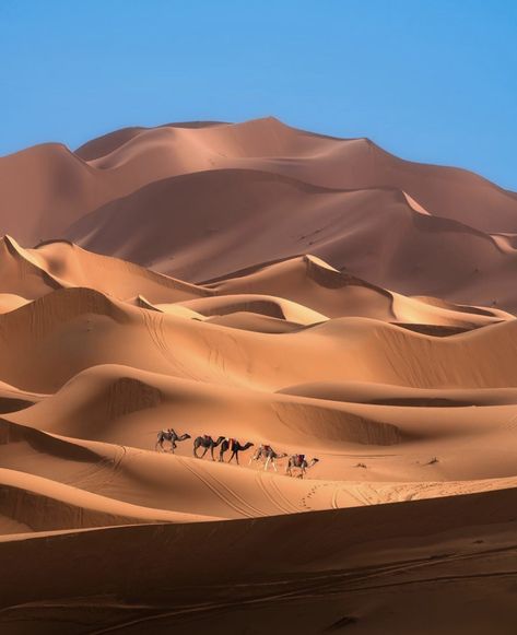 Earth Pics on Twitter: "Sand dunes of the Sahara Desert 🐫 by @ilhan1077… " Morocco Wallpaper, Desert Sahara, Desert Aesthetic, Desert Photography, Desert Tour, Visit Morocco, Earth Pictures, Camping Holiday, The Boogeyman