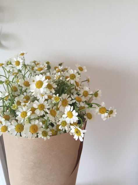 Flower Bucket Aesthetic, Chamomile Flowers Aesthetic, Daisy Flower Aesthetic, Jasmine Flowers, Daisy Bouquet, Aesthetic Korean, Feed Ig, Flower Bucket, Sunflower Wallpaper