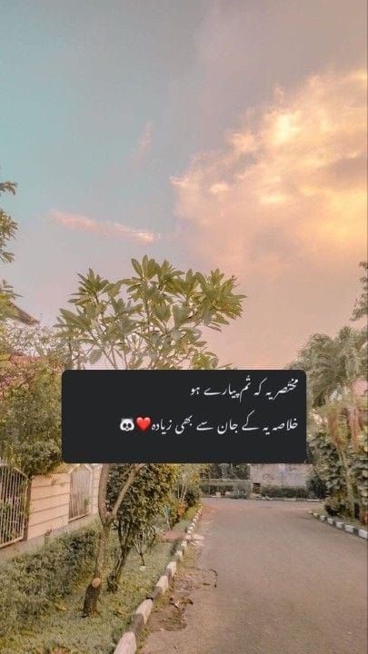 Couple Halal, Urdu Shayari Love, Urdu Poetry Love, Love Shayari Romantic, Romantic Poetry Quotes, Love Quotes In Urdu, Soul Love Quotes, Love Romantic Poetry, Urdu Love Words