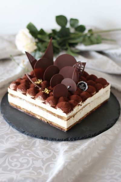 Tiramisu Design, Kue Macaroon, Cake Cafe, Dessert Presentation, Tiramisu Cake, Cake Decorating Designs, Pastry And Bakery, Fancy Desserts, Pastry Cake