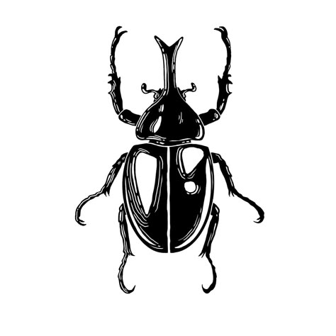 Rhino Beetle Illustration, Old School Beetle Tattoo, Beetle Drawing Reference, Rhinosaurus Beetle Tattoo, Goliath Beetle Drawing, Beetle Bug Tattoo, Rino Beetle Tattoo, Easy Beetle Drawing, Japanese Rhinoceros Beetle Tattoo