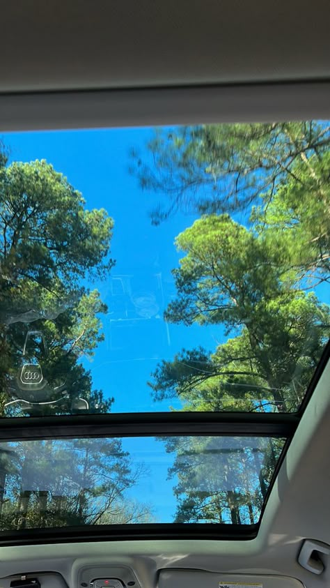 greenery, full car rooftop, audi aesthetic, green in the sky, trees aesthetic, summer vibes Car With Sunroof Aesthetic, Moonroof Car Aesthetic, Sunroof Snap, Sunroof Aesthetic, Sunroof Car Aesthetic, Sunroof Car, Sky Snap, Greenery Aesthetic, Drive Aesthetic