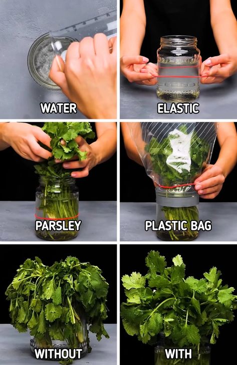 How to Preserve Food / 5-Minute Crafts How To Store Ginger, Kitchen Decor Hacks, Emergency Preparedness Items, Refrigerator Ideas, Healthy Fridge, Kitchen Hacks Food, Kitchen Decor Collections, Budget Freezer Meals, Preserve Food