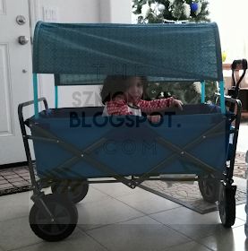 #iamMOMMYfied!: DIY Removable Canopy for Collapsable Wagon Wagon Canopy Diy, Beach Wagon Diy, Wagon Hacks, Dog Wagon, Diy Wagon, Collapsible Wagon, Wagon Ideas, Kids Festival, Canopy Ideas