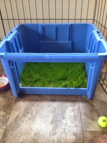 Diy Dog Litter Box Ideas, Indoor Dog Potty Diy, Porch Potty Diy, Dog Poop Area, Dog Porch Potty, Dog Potty Diy, Puppy Hacks, Dog Potty Box, Dog Patio