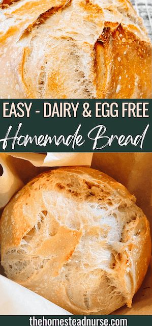 Gluten Free Dairy Free Sourdough Bread, Homemade Bread No Egg, Dairy Free Homemade Bread, Allergen Free Bread Recipes, Vegan Gluten Free Bread Recipe Easy, Non Dairy Bread Recipe, Easy Homemade Gluten Free Bread, Gluten Free Bread Without Eggs, Gluten Free Bread No Eggs