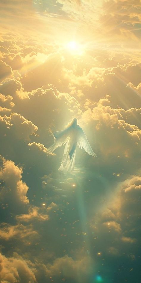 Angels Of Heaven, Heaven Aesthetic Angel, Angelic Wallpapers, Angelic Wallpaper, Heavenly Wallpaper, Angel Wallpaper Aesthetic, Heavenly Aesthetic, Angel Aesthetic Wallpaper, Aesthetic Heaven