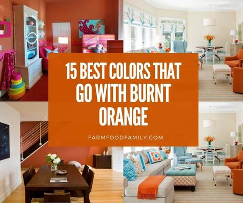 Burnt Orange And Yellow Living Room, What Color Goes With Burnt Orange, What Colors Go With Burnt Orange, Burnt Orange Complimentary Colors, Burnt Orange Sofa Living Room Ideas, Burnt Orange Feature Wall, Burnt Orange Accent Wall Living Room, Burnt Orange Kitchen Walls, Burnt Orange Living Room Walls