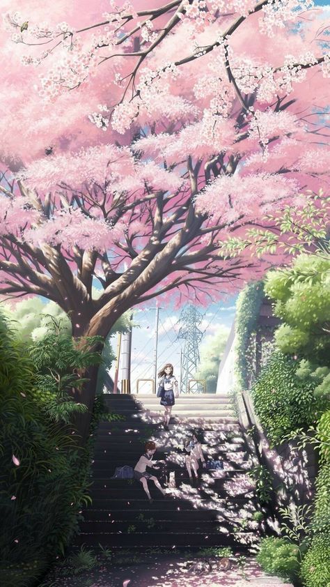 #anime #animewallpaper #pixiv Anime Cherry Blossom, Yuumei Art, Sakura Wallpaper, Cherry Blossom Girl, Cherry Blossom Wallpaper, Anime Body, Sakura Tree, Art Asiatique, Sakura Flower