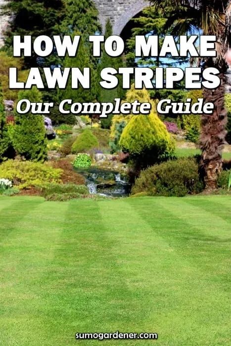 If you’ve ever looked at your local golf course or football field, you’ve most likely seen those famous lawn stripes which make their lawn look neat and professional and wondered if you could recreate them in your garden. Well, the good news is, you can create stripes in your garden with just a few steps by using the process called ‘striping’, which is the effect of mowing your lawn adjacently in different directions to create that striped look. Lawn Rollers, Lawn Striping, Lawn Roller, Garden Well, Homestead Ideas, Growing Grass, Types Of Grass, Grass Type, Survival Gardening