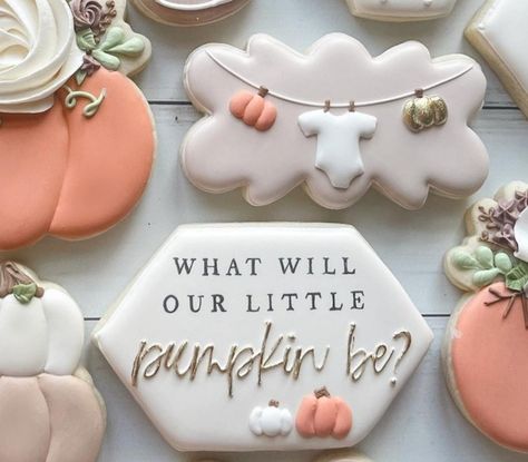 Fall Gender Reveal Cookies, A Little Pumpkin Is On The Way Cookies, Pumpkin Gender Reveal Cookies, Little Pumpkin Baby Shower Cookies, Pumpkin Gender Reveal, Gender Reveal Cookies, Fall Pregnancy Announcement, Fall Cookies, Baby Cookies