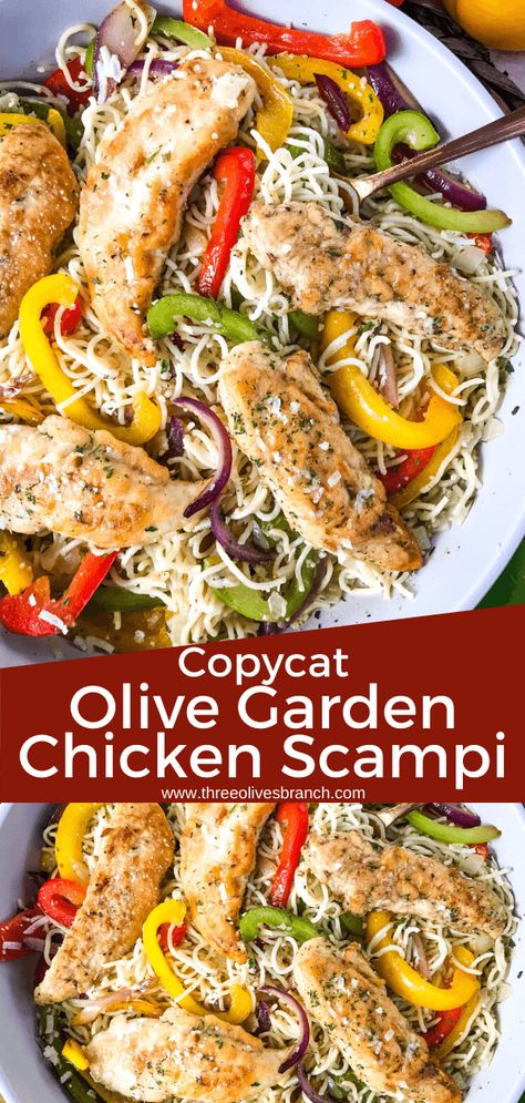 Olive Garden Chicken Scampi, Chicken Scampi Pasta, Copycat Olive Garden Chicken, Chicken Scampi Recipe, Restaurant Pasta, Scampi Sauce, Chicken Scampi, Copycat Recipes Olive Garden, Olive Garden Chicken