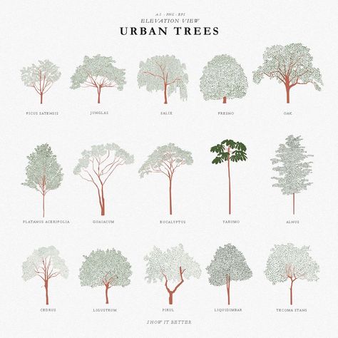 Trees Architecture Photoshop, Tree Elevation Photoshop, Tree Brush Photoshop, Architectural Trees Drawing, Architectural Trees Plan And Elevation, Tree Illustration Architecture, Tree Elevation Architecture, Tree Photoshop Architecture, Tree Top View Architecture