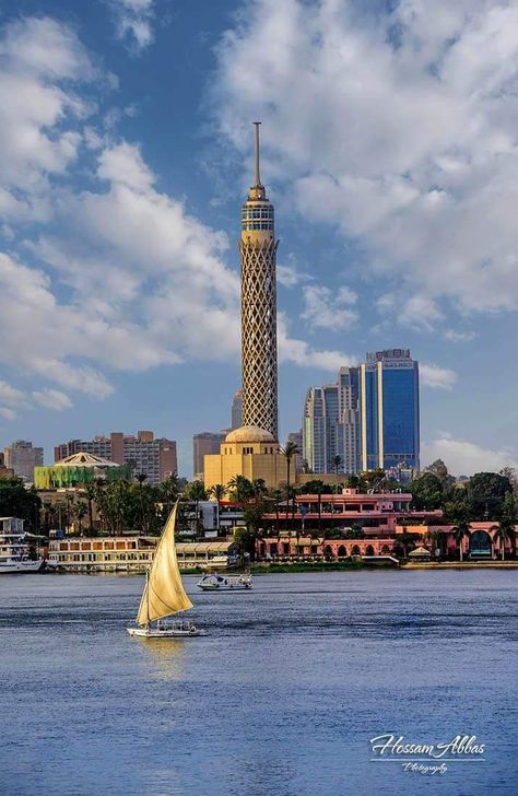 Egyptian Lotus Flower, Cairo Tower, Egyptian Lotus, Places In Egypt, Life In Egypt, El Gouna, Egypt Aesthetic, Egypt Culture, Amazing Places To Visit