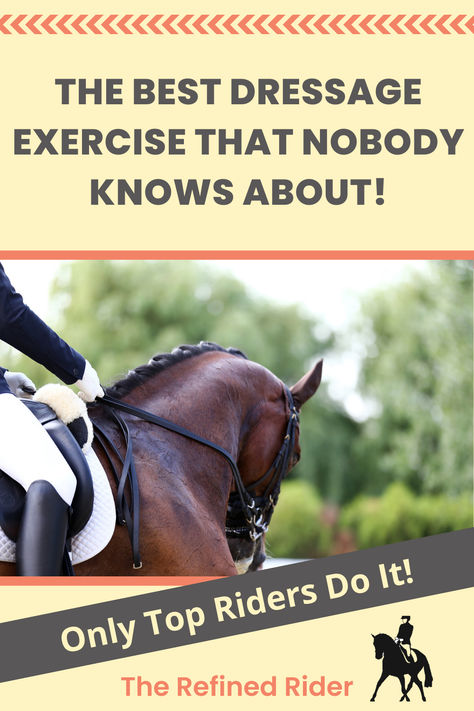 Most equestrians have never been taught this fabulous dressage exercise that will help you horse be supple, straight, engaged, and more! Vaulting Horses, Cowboy Dressage, Equestrian Training, Riding Instructor, Horse Obstacles, Western Dressage, Dressage Tests, Dressage Exercises, Horse Training Exercises