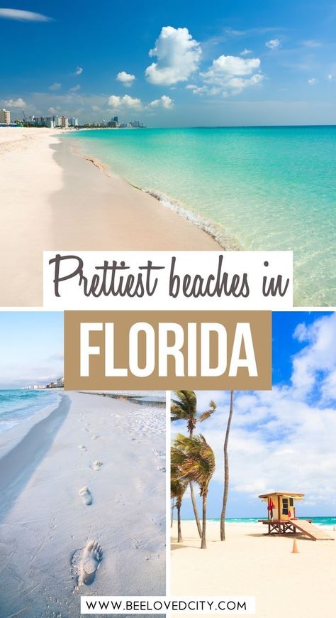 Best Beaches In Florida, Florida Destin, Florida Vacation Spots, Beaches In Florida, Best Beach In Florida, Florida Beaches Vacation, Beach In Florida, Florida Travel Guide, Best Beaches To Visit