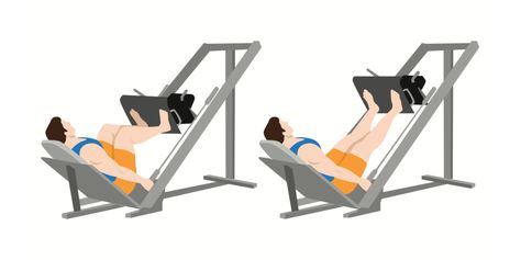 How To Do Leg Press Correctly - For All Fitness Levels - Gym Geek Leg Press Exercises, Press Exercises, Leg Press Workout, Seated Leg Press, Leg Press Machine, Lower Body Muscles, Barbell Squat, Leg Exercises, Free Weight