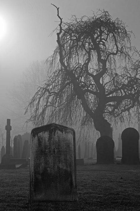 Cemetery Black And White, Grave Drawing Reference, Scary Graveyard, Creepy Cemetery, Gothic Cemetery, Gothic Graveyard, Grave Art, Crows Drawing, Cemeteries Photography