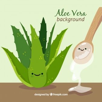 Free Vector | Aloe vera plant illustration Premium Vector Background, Aloe Barbadensis Miller, Aloe Vera Plant, Art Painting Gallery, Plant Illustration, Fitness Life, Vector Background, Life Images, Background Design