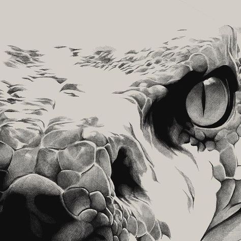 Sublime Nevrose on Instagram: "Ce qui nous suit  - #follow #animal #bw #illustration #artist #artwork #draw #sketch #snake #monster #eyes #procreate #" Reptile Eyes Drawing, Snake Eye Drawing Sketch, Snake Eyes Drawing, Snake Eye Drawing, Snake Drawing Sketches, Sketch Snake, Eyes Procreate, Snake Drawings, Open Mouth Drawing