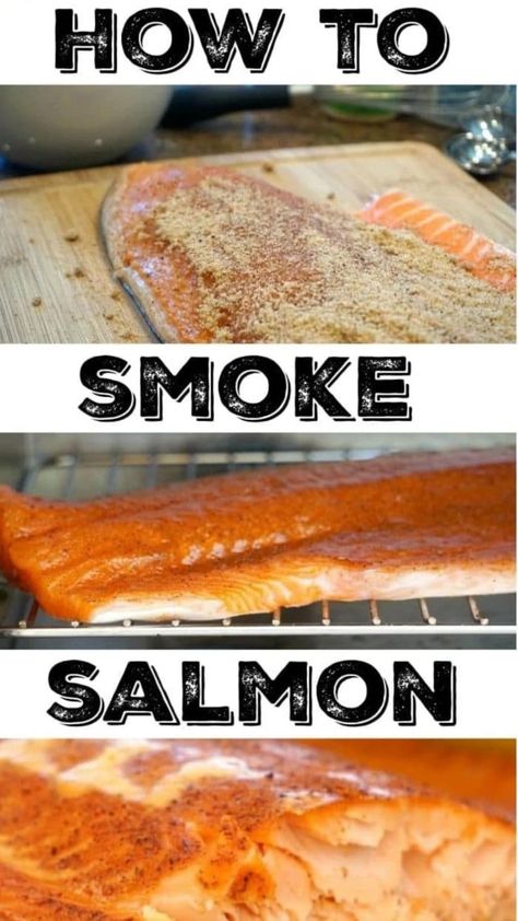 How to smoke salmon at home! The best rub for fish you will ever make that brings out the flavor and makes it melt in your mouth good. Easy recipe for those who have never smoked fish or looking for something new. Healthy and delicious dinner idea. #salmon #fish #smoke #smoker #smokedsalmon #thetypicalmom #smokedfish Smoked Salmon Rub Recipe, Salmon Smoker, Smoked Fish Recipe, Smoked Baked Potatoes, Best Smoked Salmon, Smoked Vegetables, Salmon Marinade, Smoked Salmon Recipes, Marinated Salmon