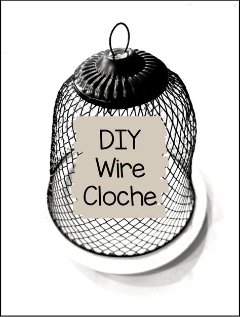 Diy Cloche Ideas How To Make, Chicken Wire Projects Garden Ideas, Diy Cloche Ideas, Wire Cloche, Cloche Ideas, Garden Cloche, Glass Cloche, Funky Junk, Chicken Wire