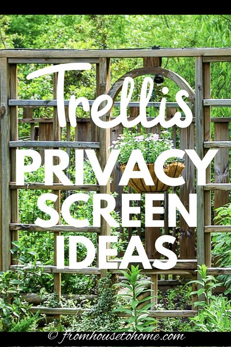 I love these backyard privacy ideas. Great ideas for pergolas, trellises, and privacy screens that will help to keep the neighbors from seeing into your yard. #fromhousetohome #privacy #backyard #gardening Trellis Privacy, Backyard Privacy Ideas, Lattice Privacy Screen, Privacy Trellis, Patio Trellis, Clematis Trellis, Yard Privacy, Diy Privacy Screen, Privacy Ideas